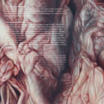 Manes : #411 :: Marbled Skin